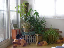 PB170497.JPG
